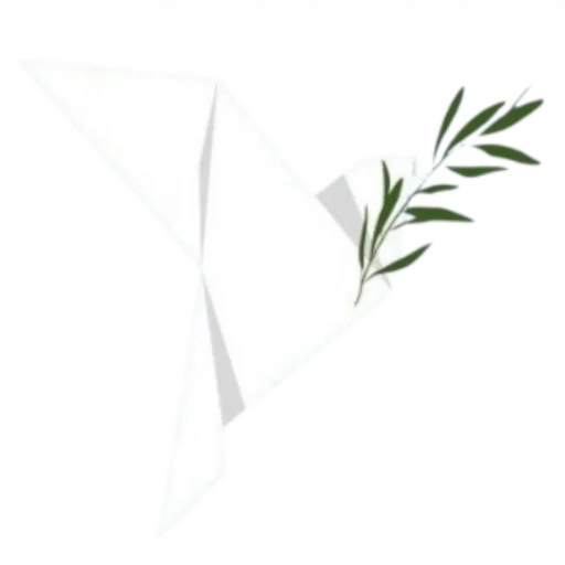 Aomeracademy